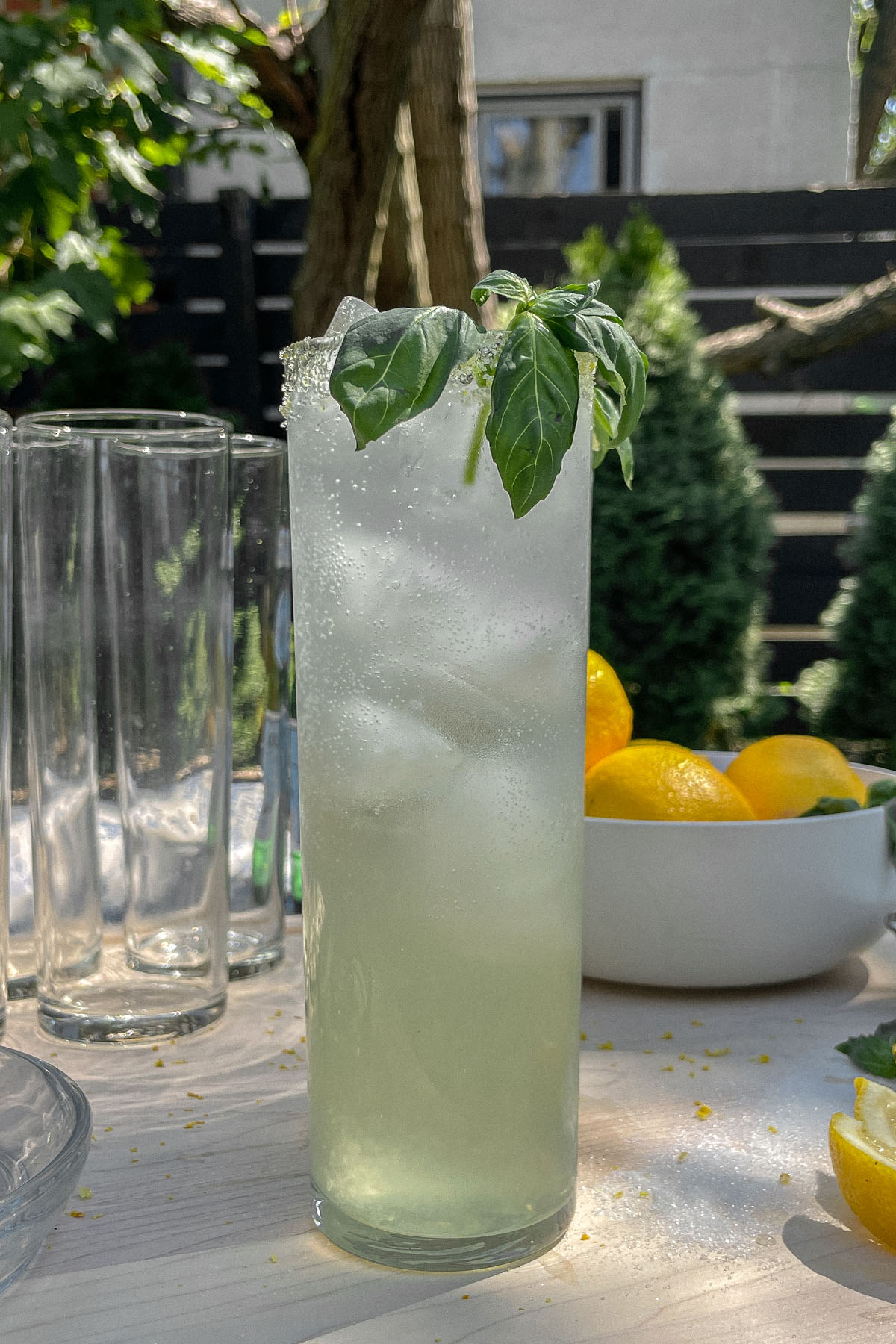 Sparkling Basil Lemonade Cocktails served in a slim glass with fresh basil garnish