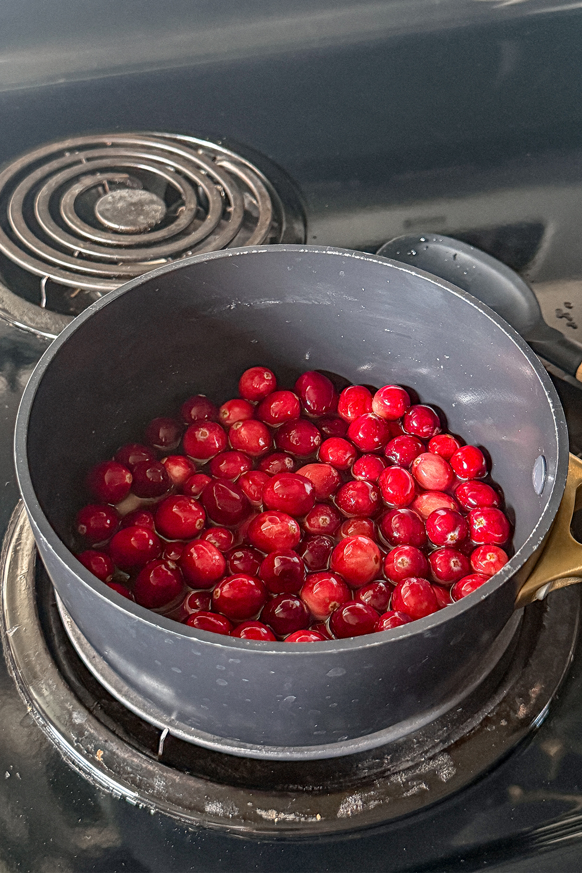 Homemade Cranberry Syrup ingredients in a saucepan